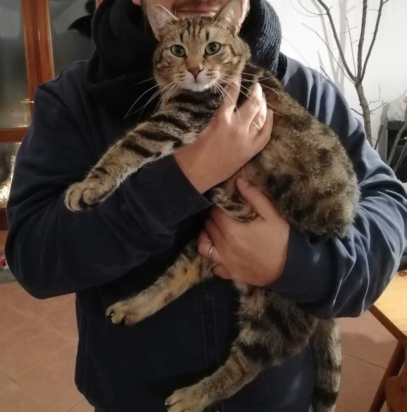 Luca Cannizzo tiene in braccio il gatto Biagio